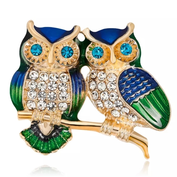 Jewelry - Owl Rhinestone Brooch Pin